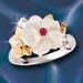 Nature�s Miracle Ring