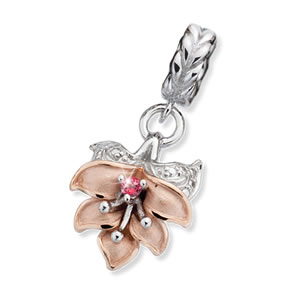 Hope For The Cure Believe In Miracles® Charm